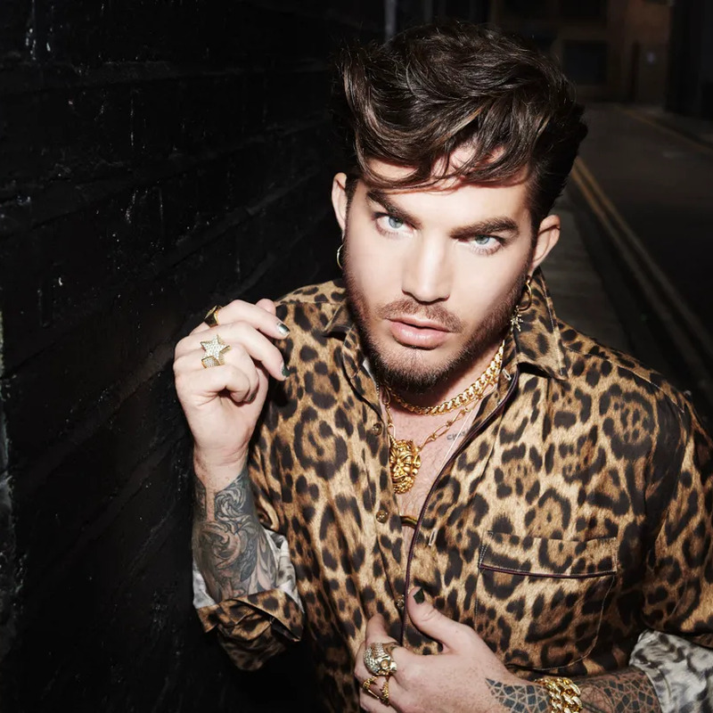 아담 램버트 사주 분석 2026