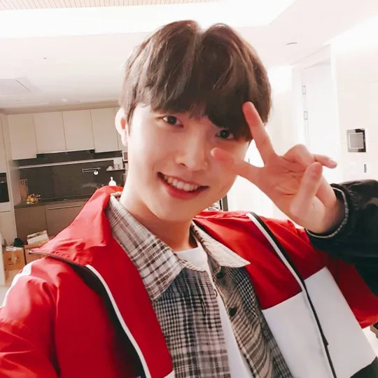 악어 사주 분석 2026