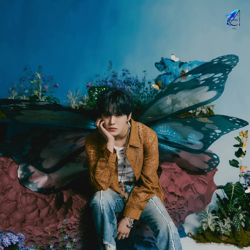 아민 사주 분석 2026