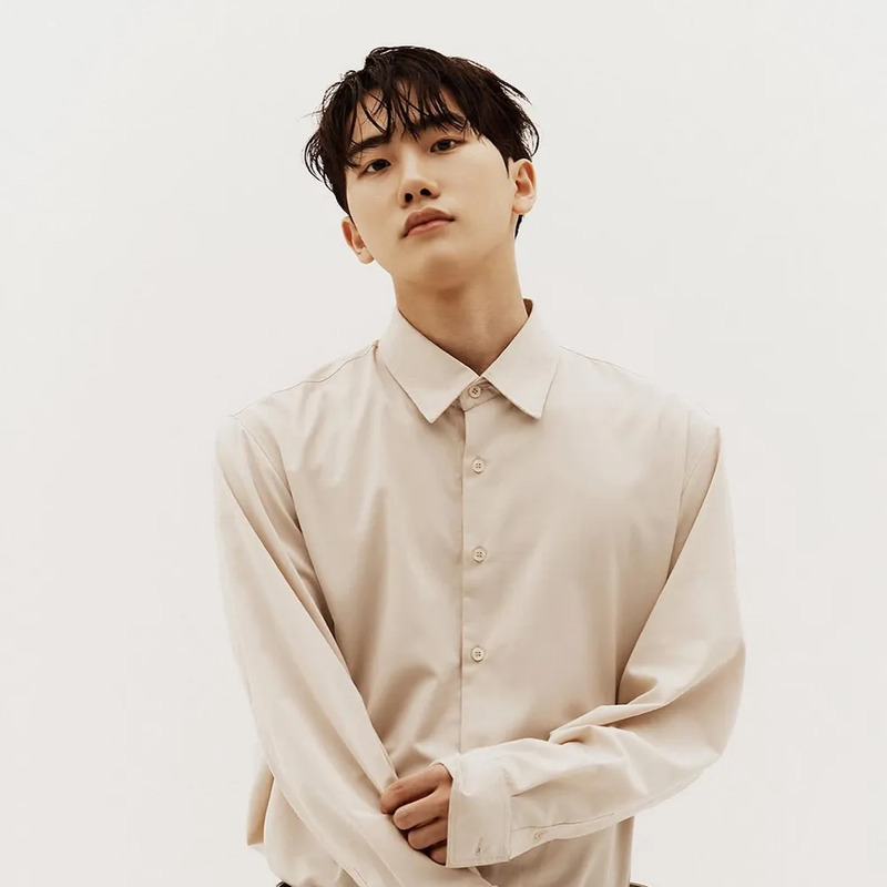 안지호 사주 분석 2026