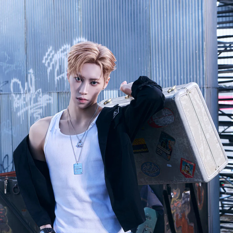 아르노 사주 분석 2026