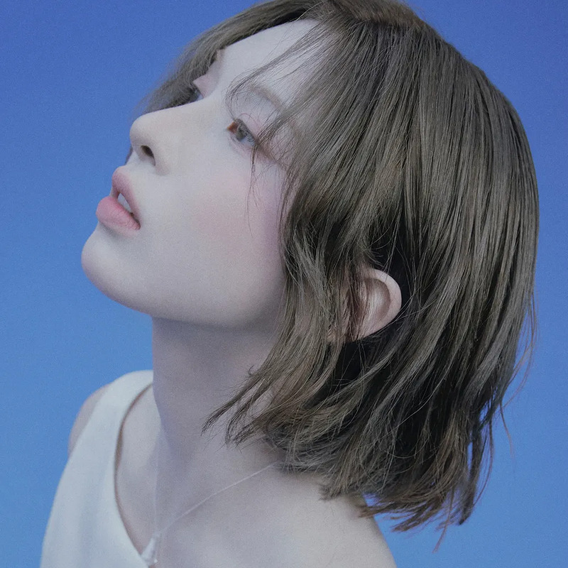 배이 사주 분석 2026