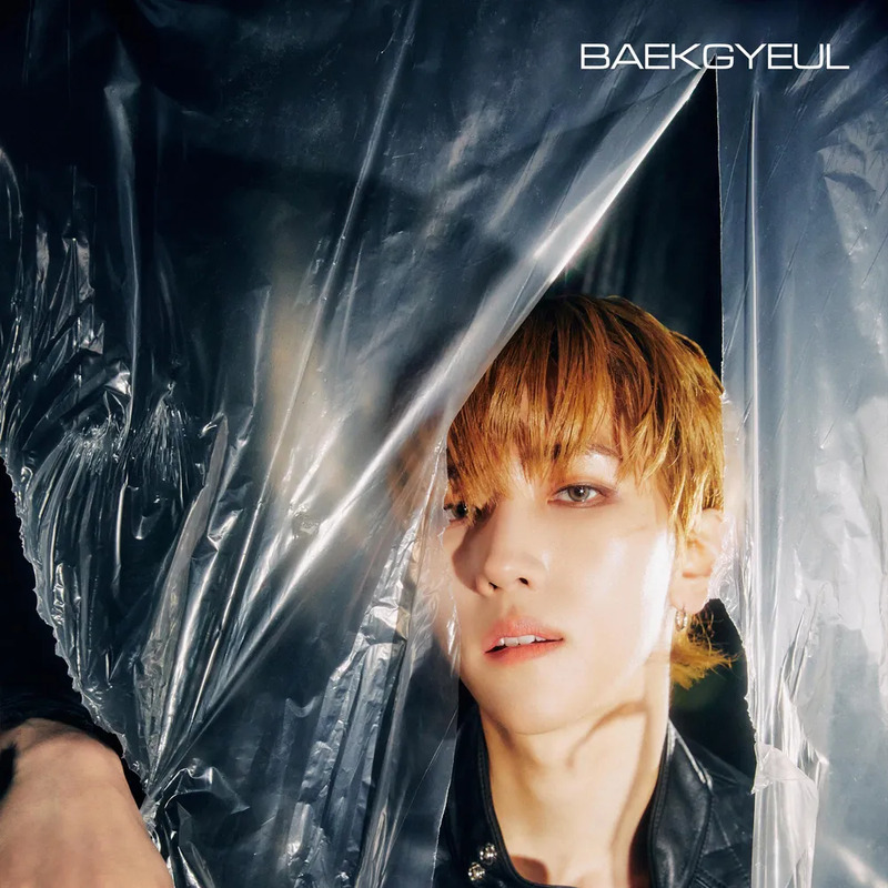 백결 사주 분석 2026