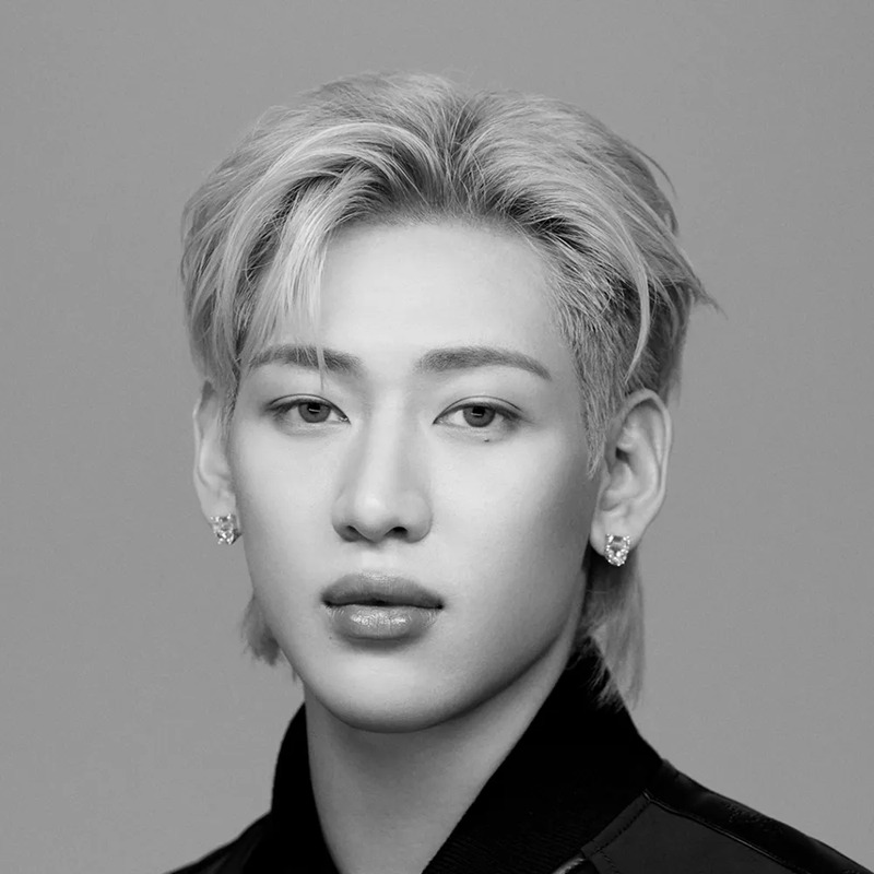 뱀뱀 사주 분석 2026