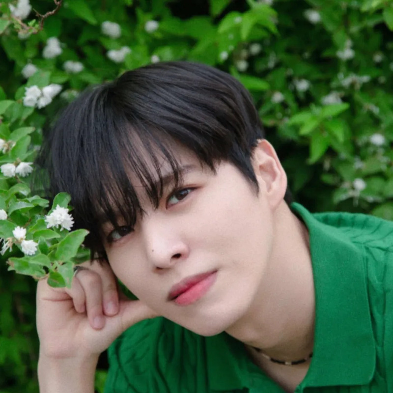 박도하 사주 분석 2026