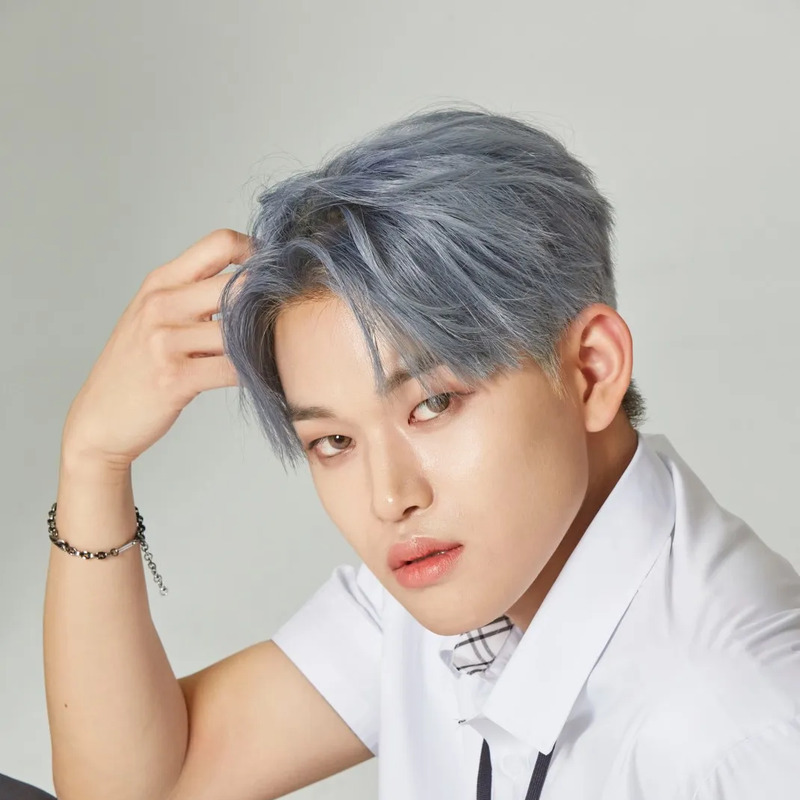 보율 사주 분석 2026