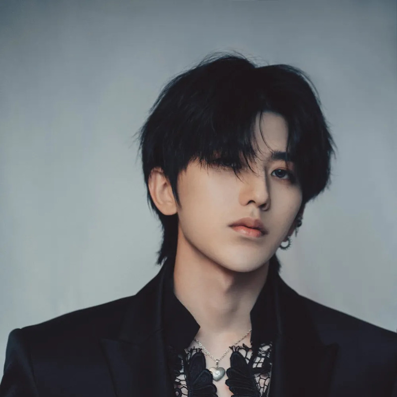 차이쉬쿤 사주 분석 2026