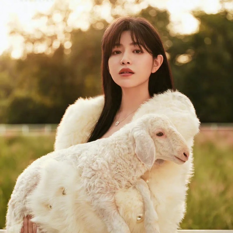 천옌시 프로필 썸네일
