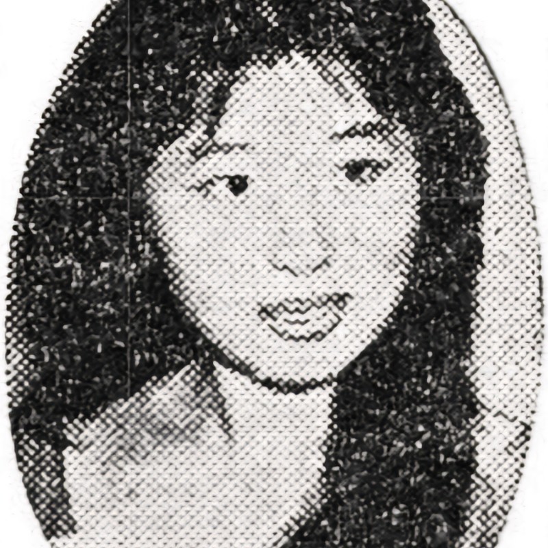도금봉 프로필 썸네일
