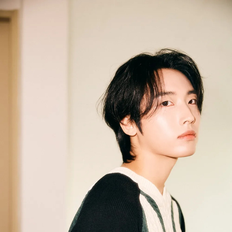 도균 사주 분석 2026