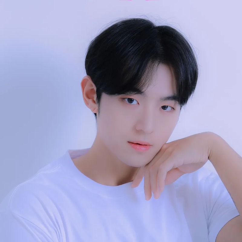 도준 사주 분석 2026