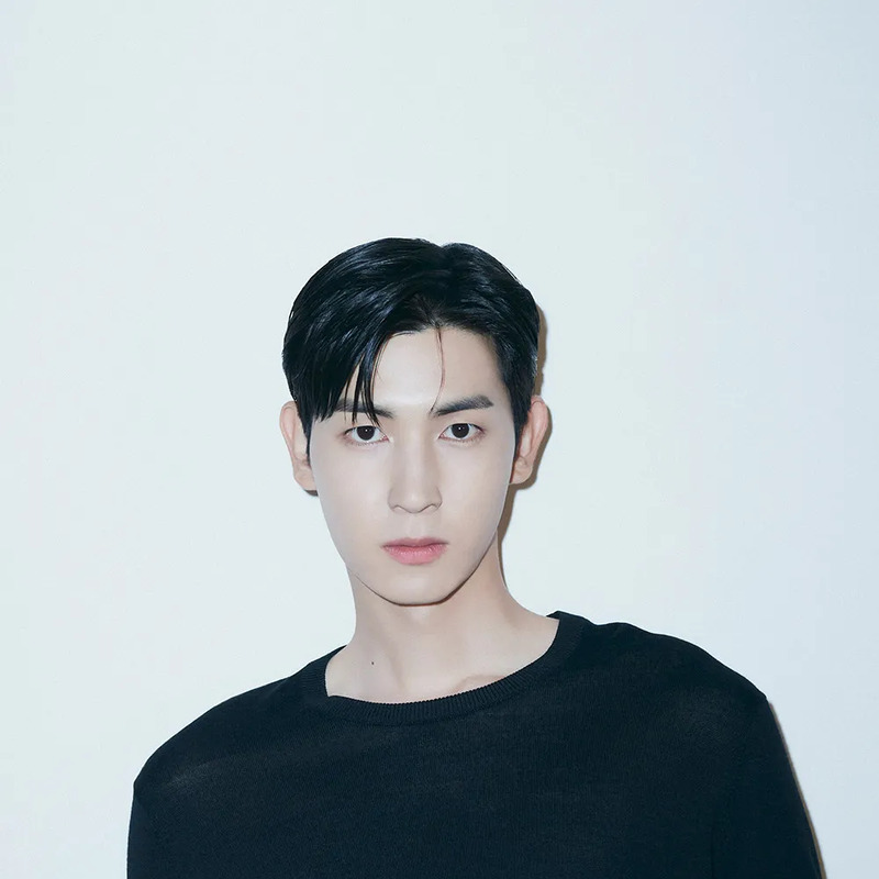 도우 사주 분석 2026