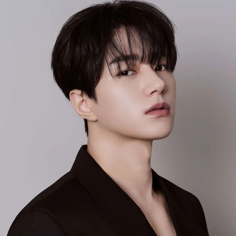 가수 엘 프로필 썸네일