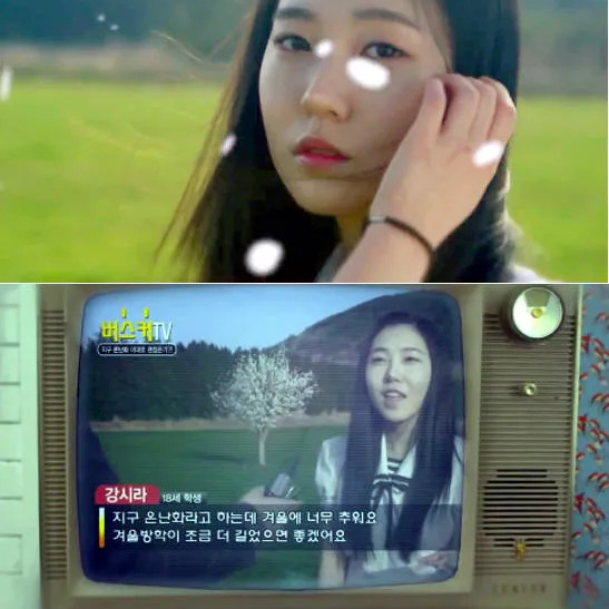 강시라 사주 분석 2026