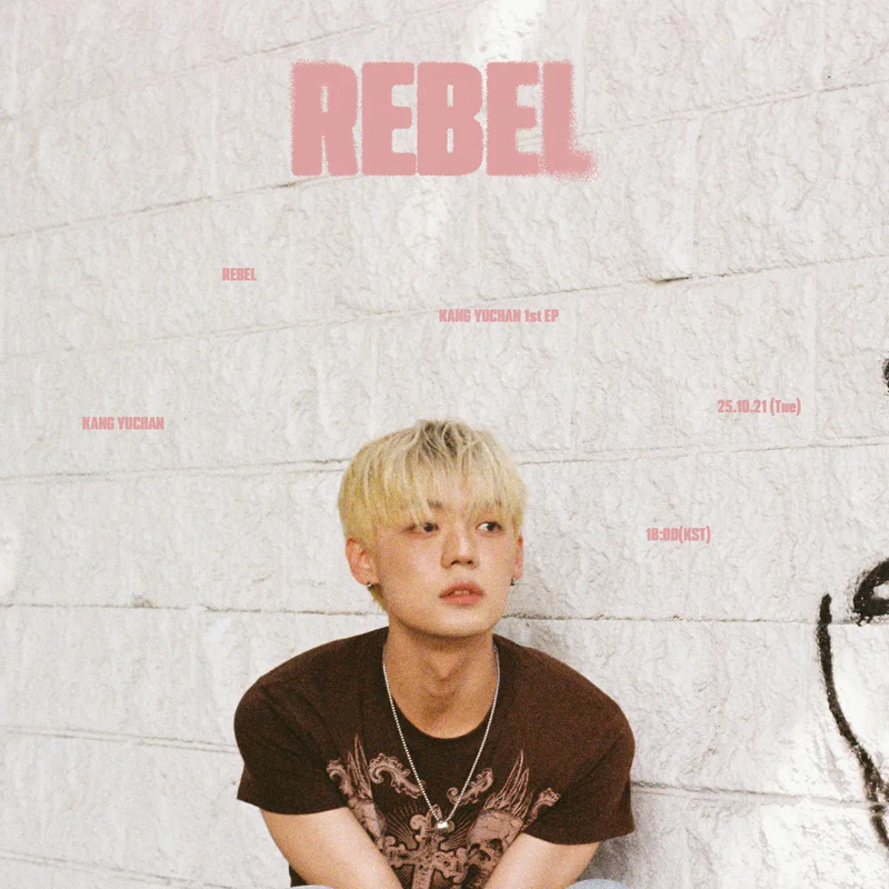 강유찬 사주 분석 2026