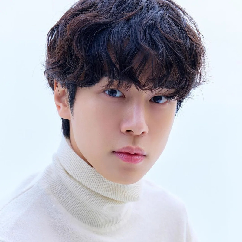 강유석 사주 분석 2026