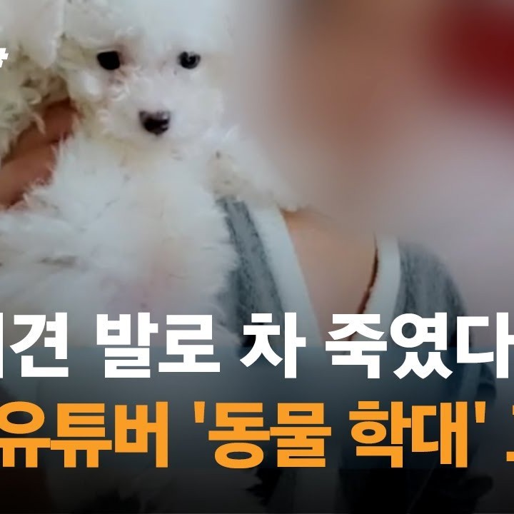 갓성은 프로필 썸네일