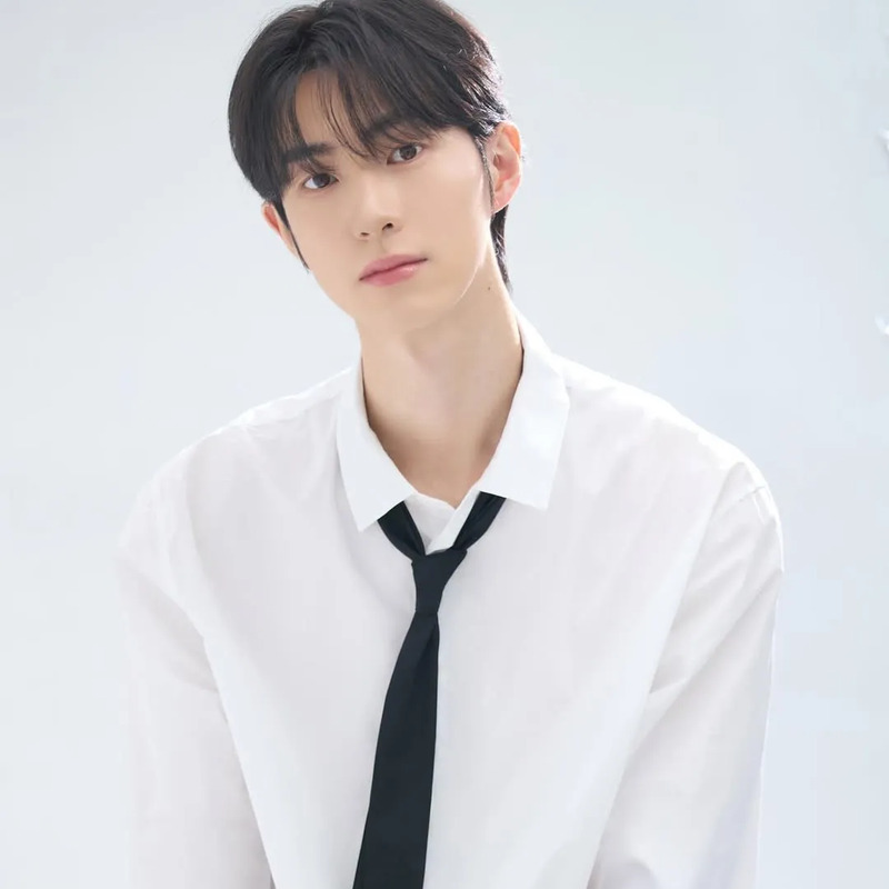 김호영 사주 분석 2026