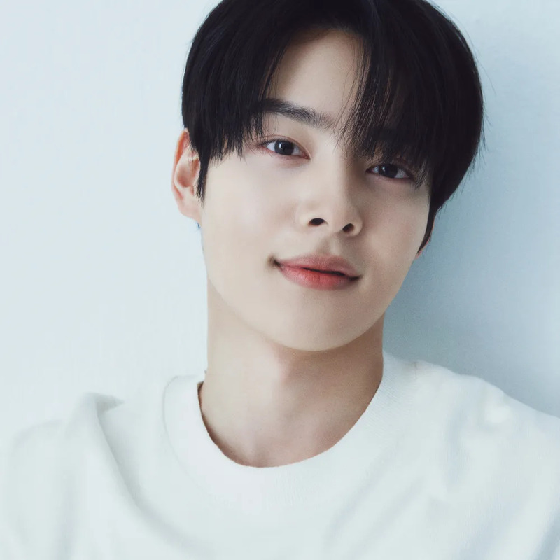 김민기 사주 분석 2026