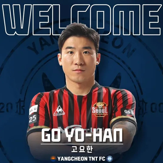 고요한 사주 분석 2026