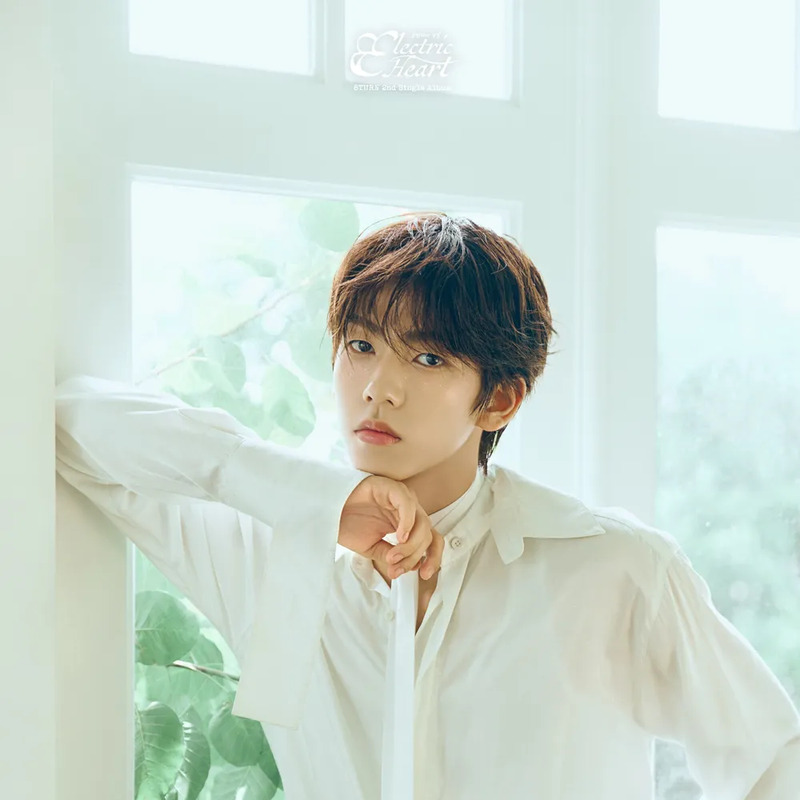 해민 사주 분석 2026