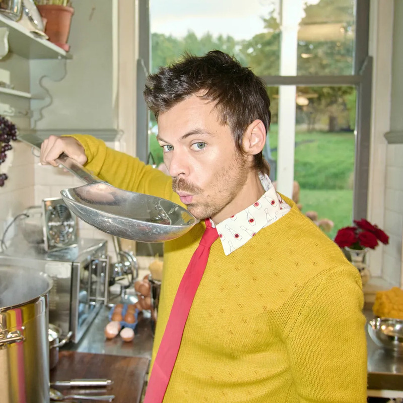 해리 스타일스 사주 분석 2026