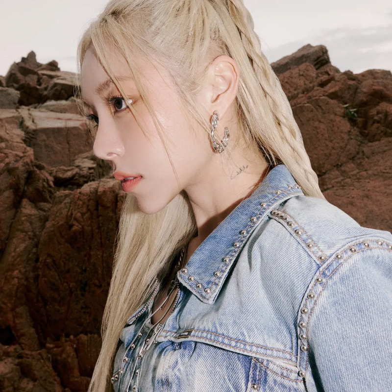 휘인 사주 분석 2026