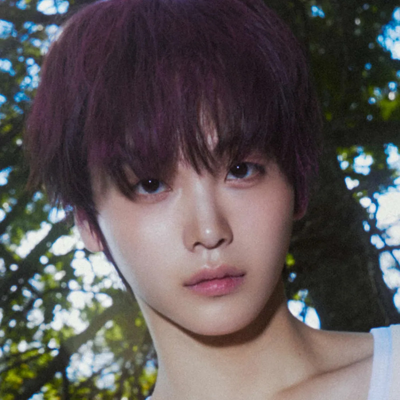 형준 사주 분석 2026