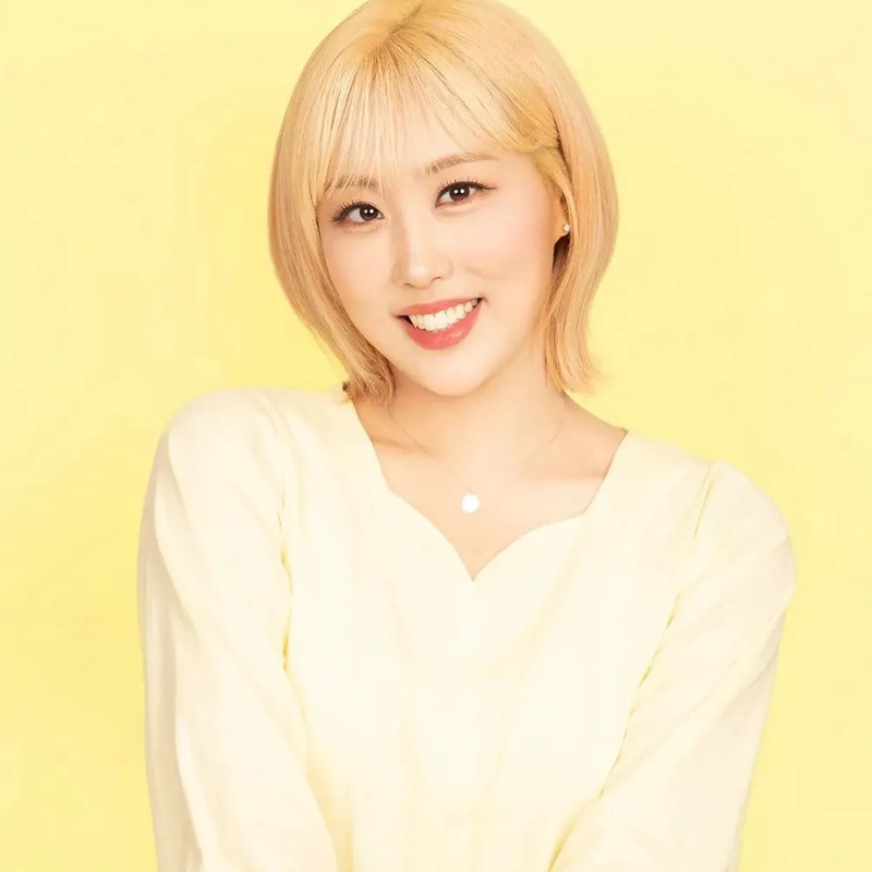 임라라 사주 분석 2026