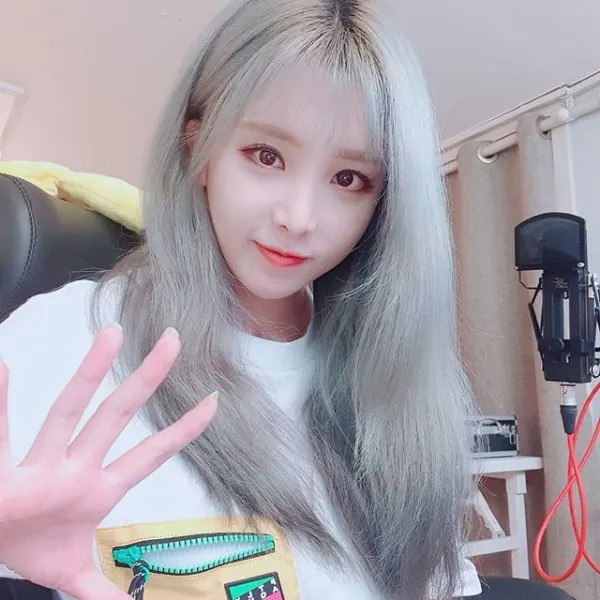 이설 사주 분석 2026