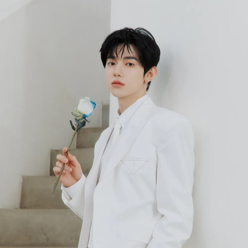 장하오 사주 분석 2026