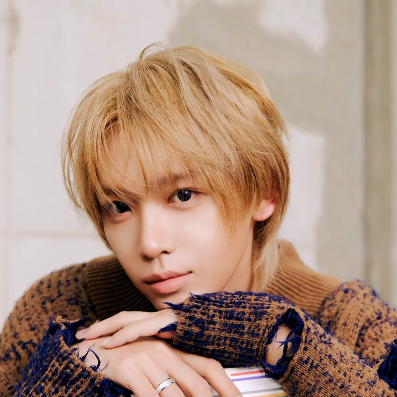 장슈아이보 사주 분석 2026