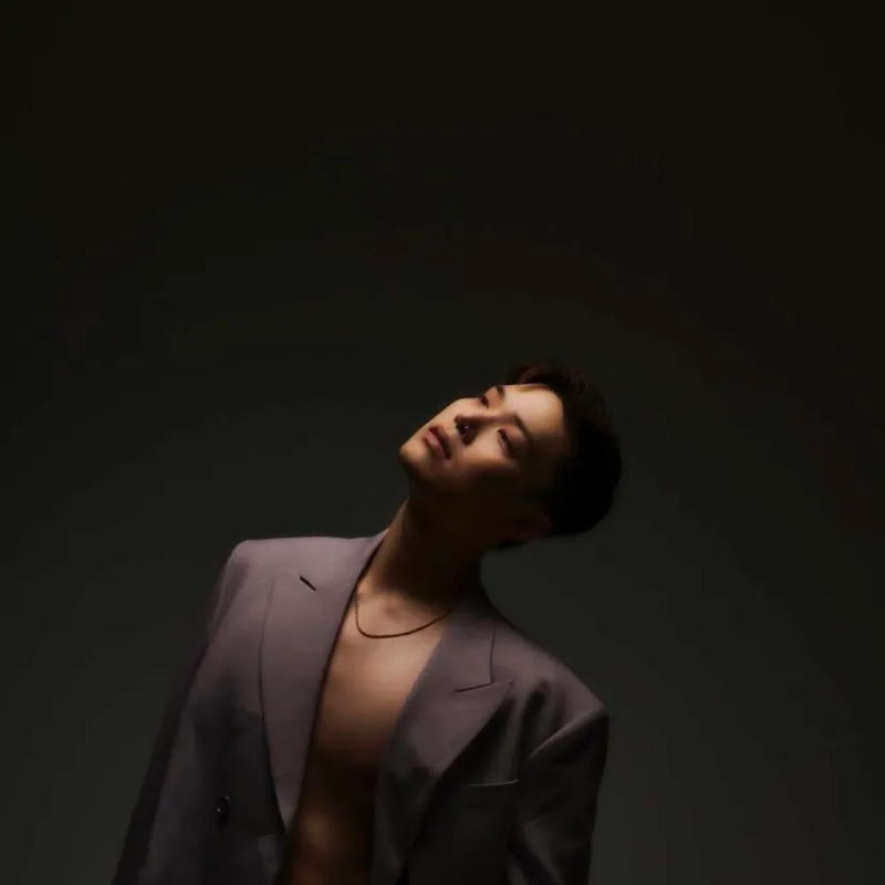 젤로 사주 분석 2026