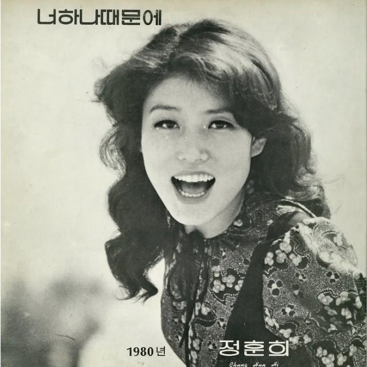가수 정훈희 프로필 썸네일