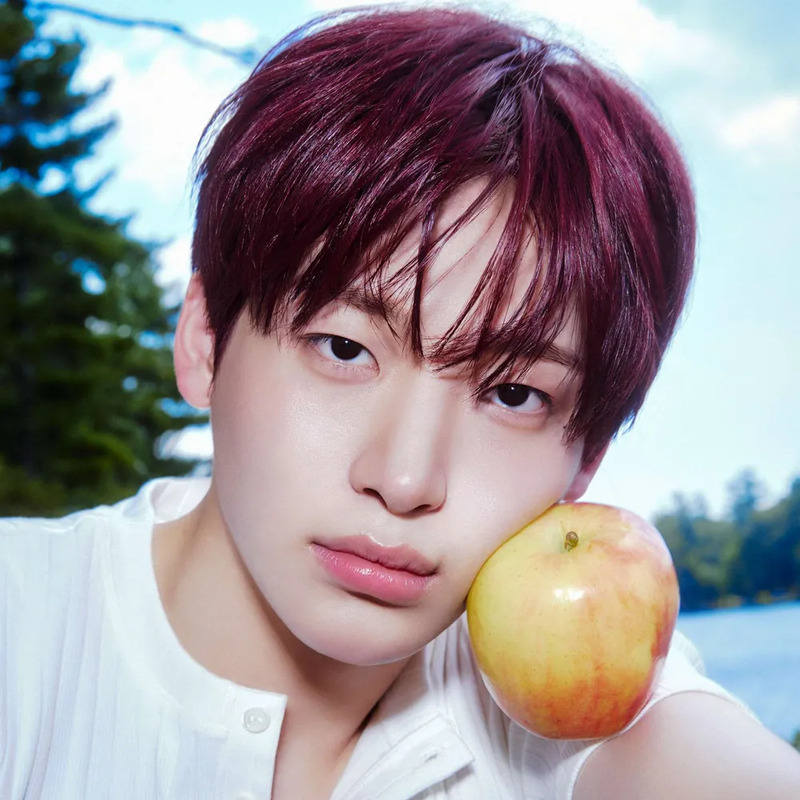 정모 사주 분석 2026