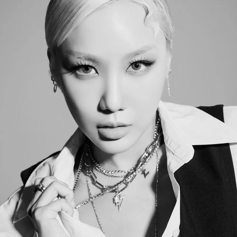 제트썬 사주 분석 2026