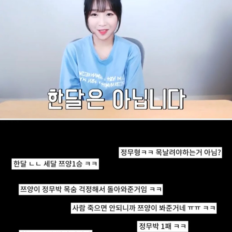 방송인 쯔양 프로필 썸네일