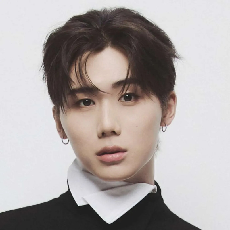 종형 사주 분석 2026