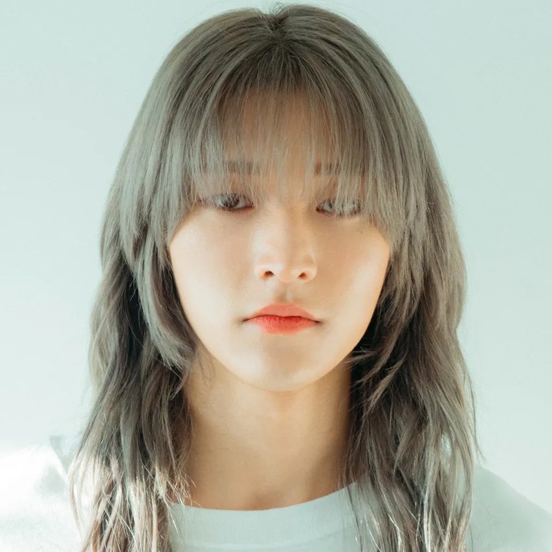 가수 준지 프로필 썸네일