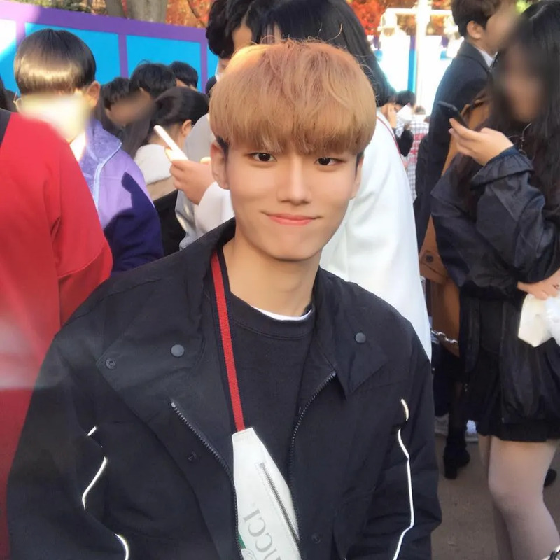 준콩 사주 분석 2026