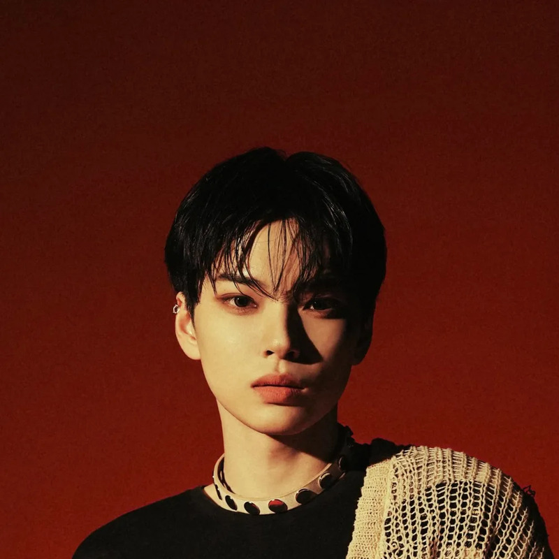 카네무라 하야토 사주 분석 2026