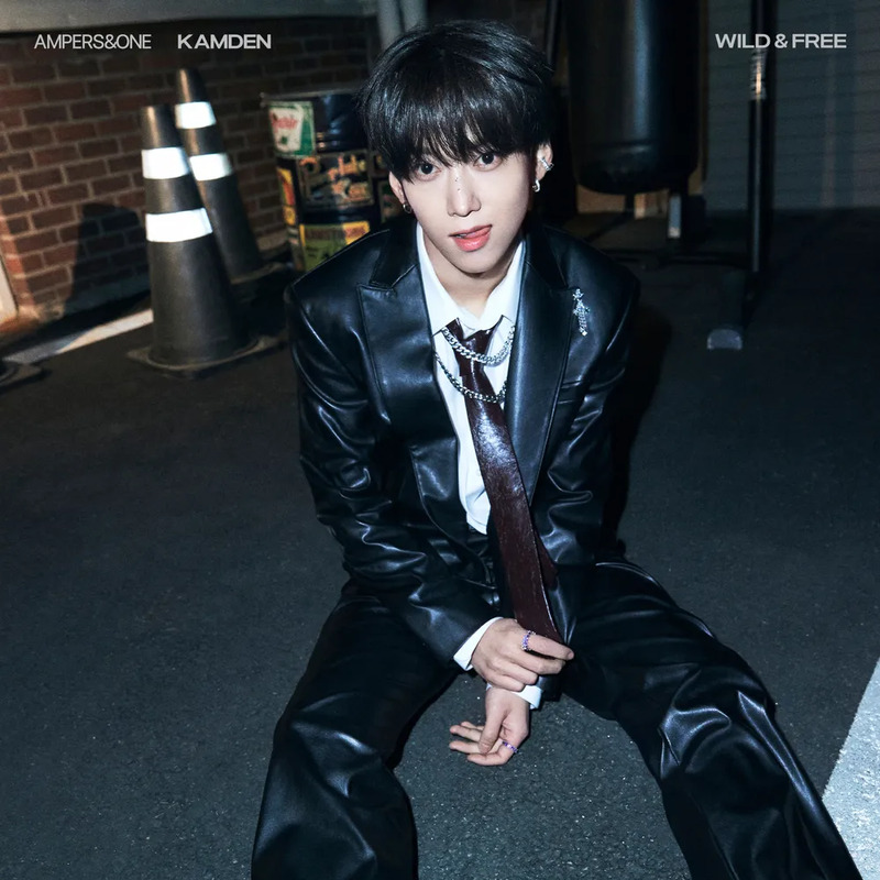 나캠든 사주 분석 2026