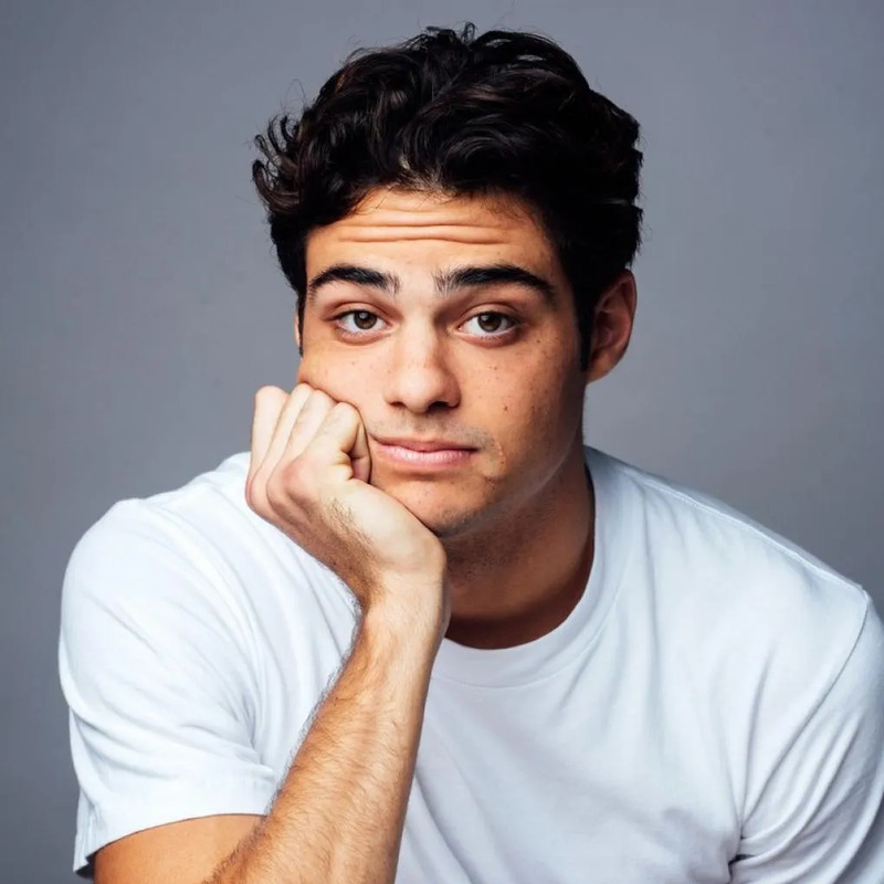 노아 센티네오 사주 분석 2026