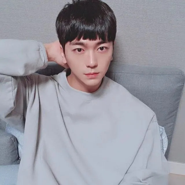 팡이요 사주 분석 2026