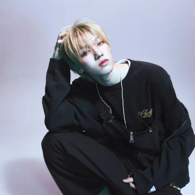 판저이 사주 분석 2026