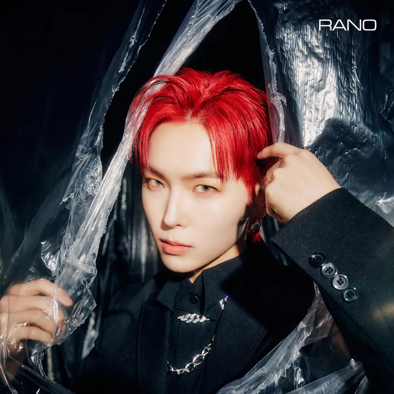 라노 사주 분석 2026