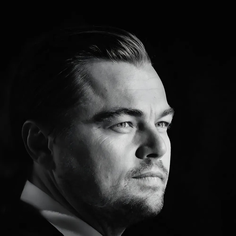 레오나르도 디카프리오 사주 분석 2026