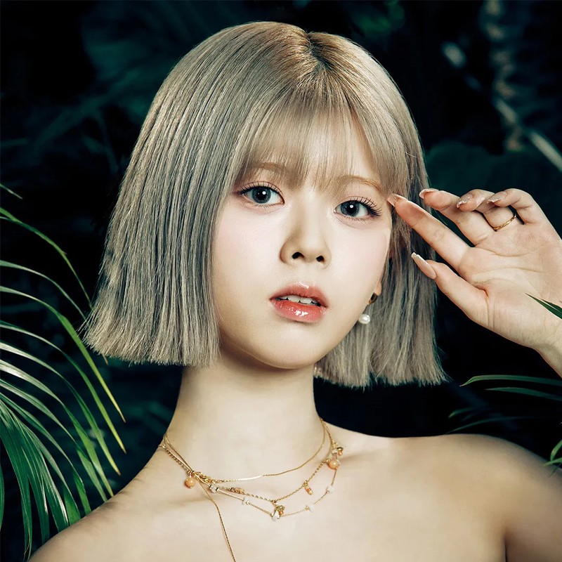 가수 리쿠 프로필 썸네일