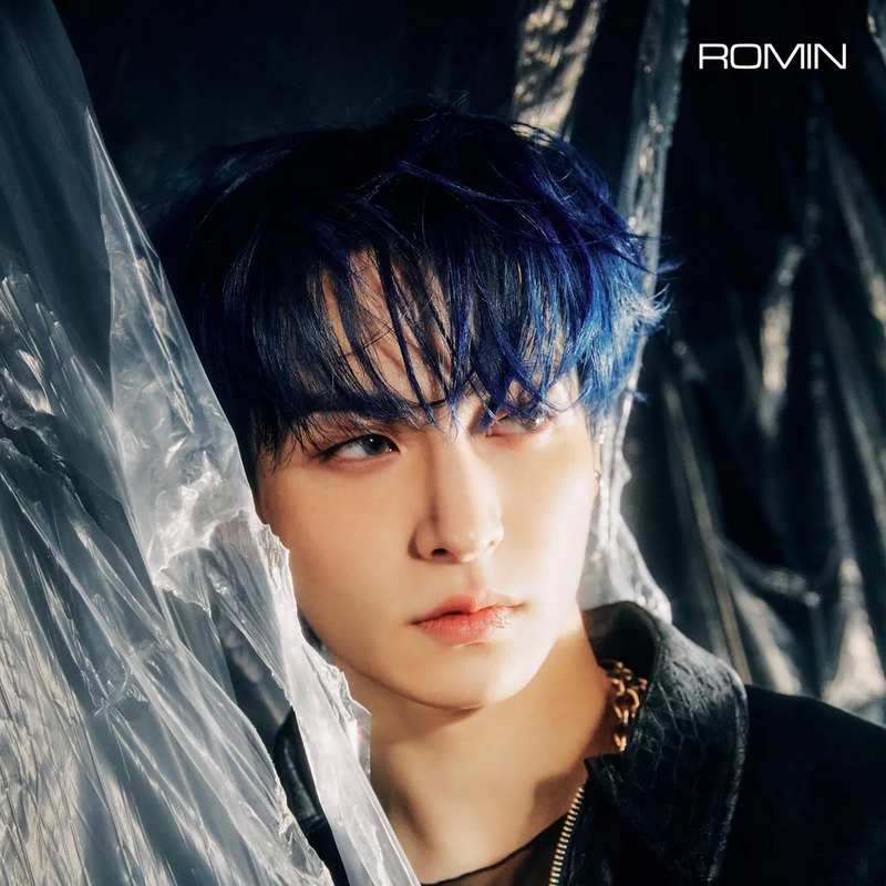 로민 사주 분석 2026