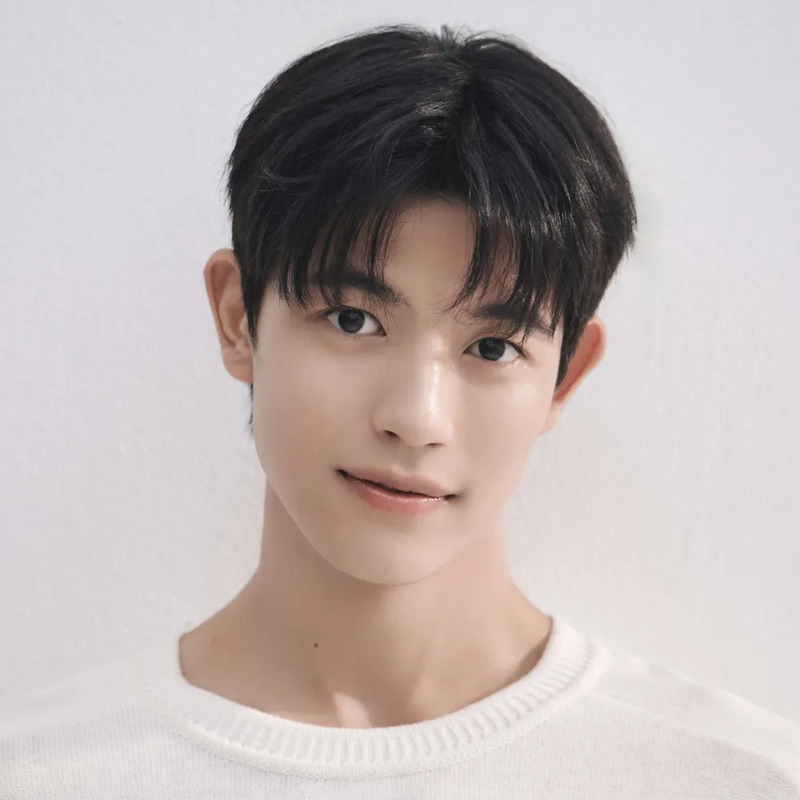 로몬 사주 분석 2026